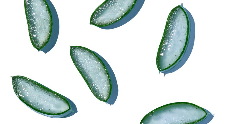 Odkrijte izredne vlažilne sposobnosti vseh oblik aloe vere v negi koži.