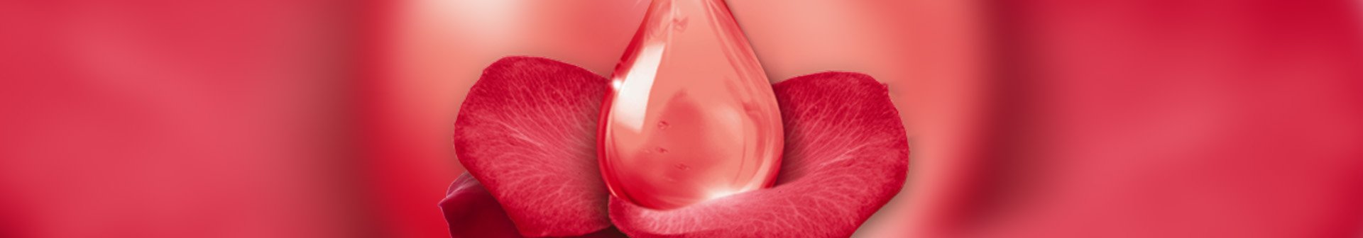 Четири съвета за това как да поддържате косата си красива и как да върнете здравия вид на увредената си коса