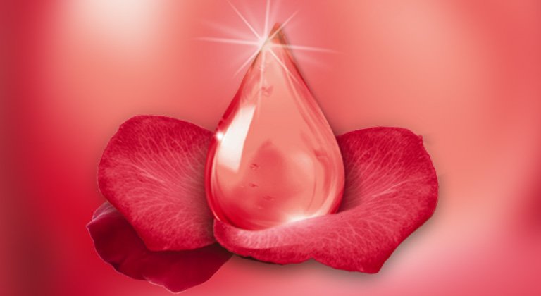 Четири съвета за това как да поддържате косата си красива и как да върнете здравия вид на увредената си коса