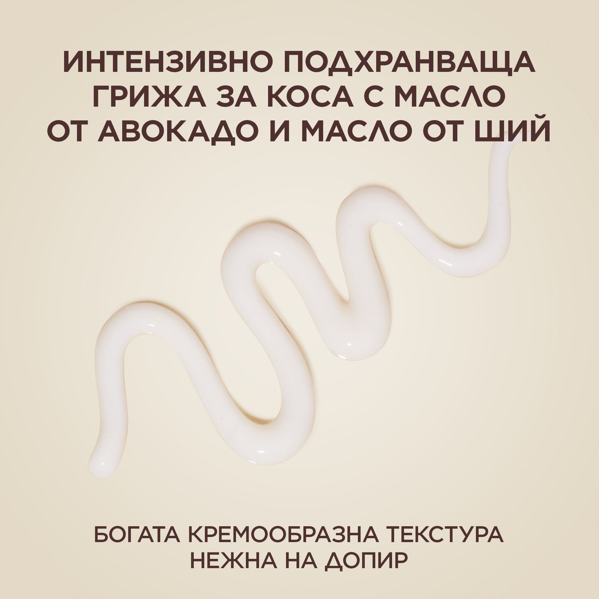 3600542632041 (2)