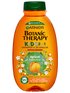 Garnier Botanic Therapy Kids 2IN1 Apricot Шампоан и балсам