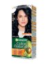 Garnier Color Naturals 2.10 Боровинково черно