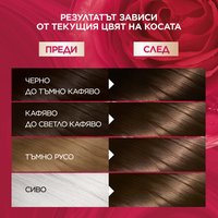 GAR COLOSENS brown 07