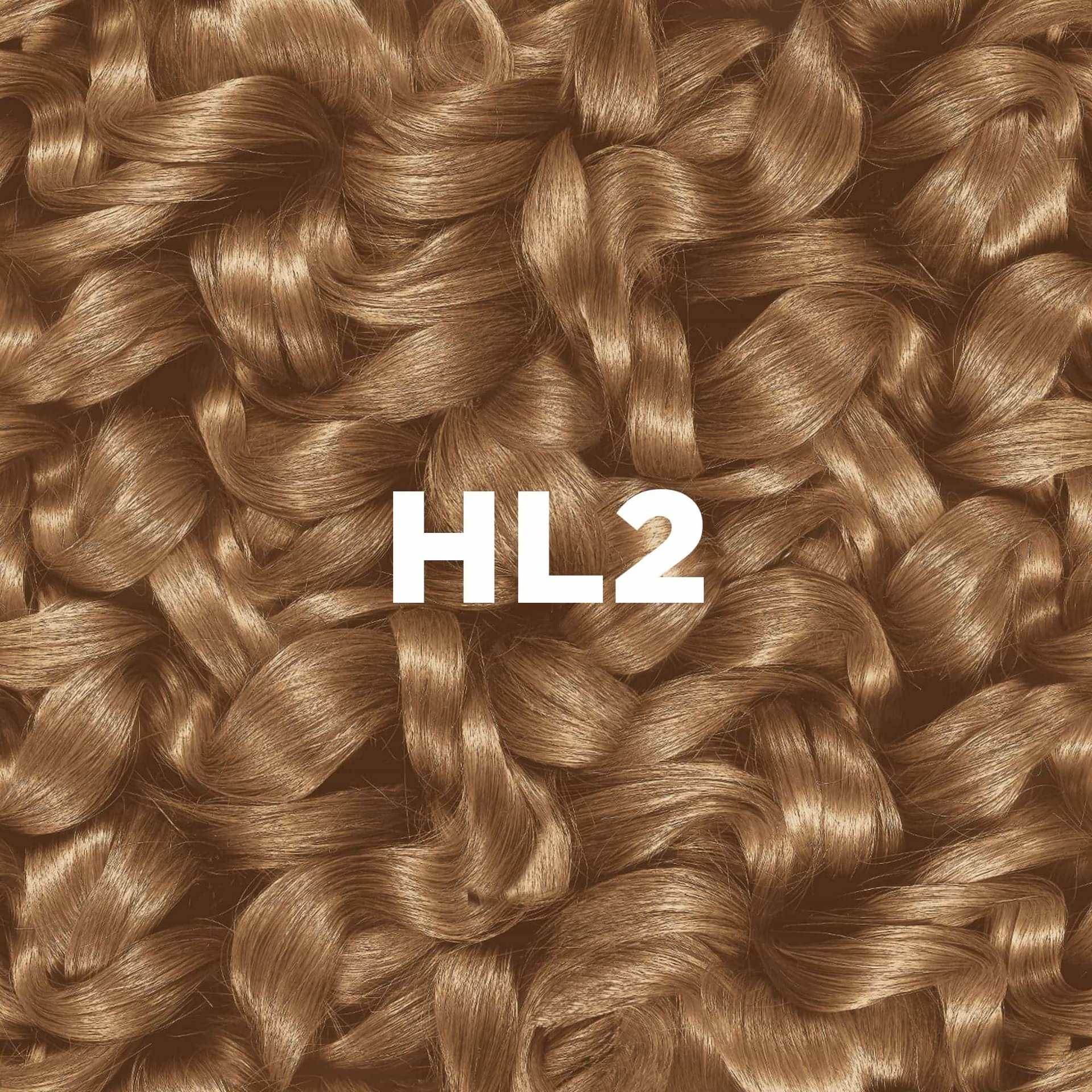 HL2 (3)