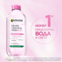 GARNIER Micellar Classic 1x1 SRB 01