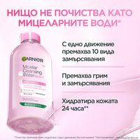 GARNIER Micellar Classic 1x1 SRB 03